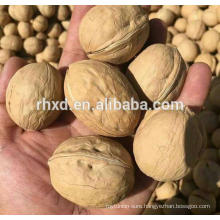 new crop walnuts china with wholesale walnuts prices